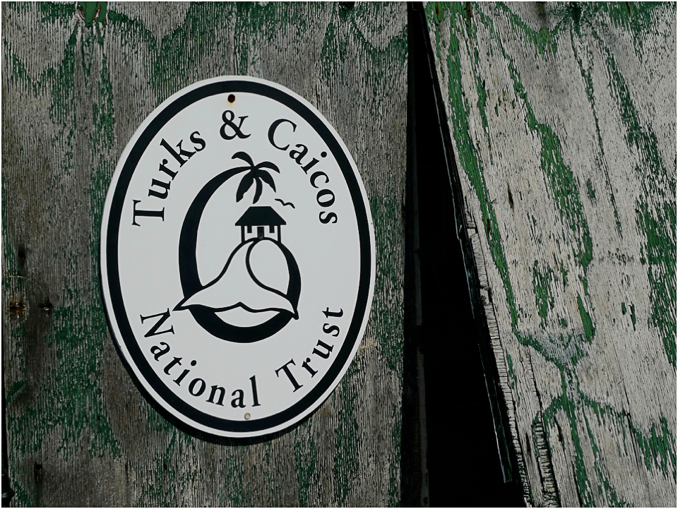 Kayak Eco Tour
