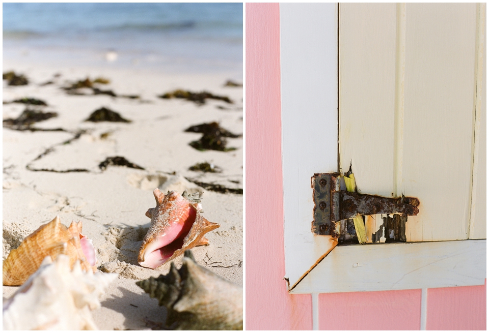 Island Life on Film: Contax 645 and Fuji 400H