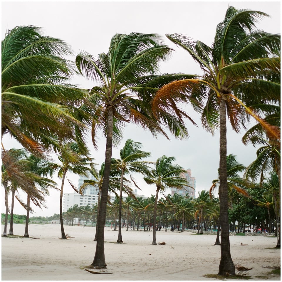 Contax 645 Fuji 400H Miami South Beach Travel (5)