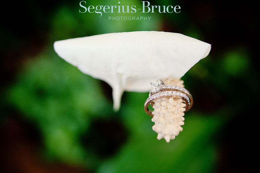 Macro Wedding Ring Photography