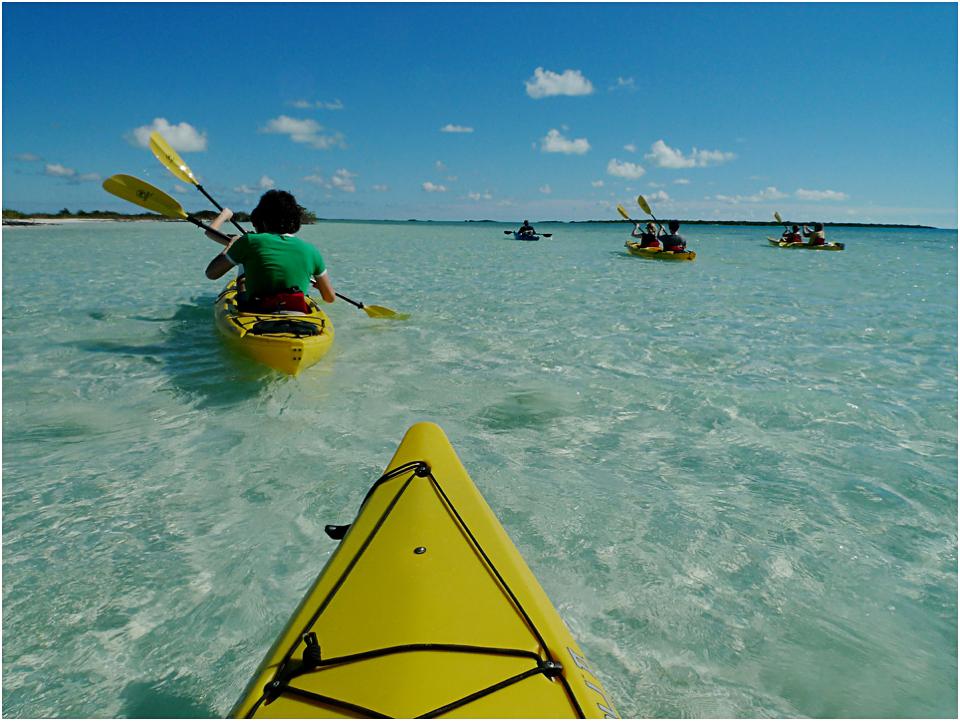 Kayak Eco Tour