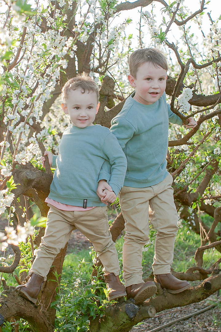 Family Photoshoot amongst the Apple Blossoms