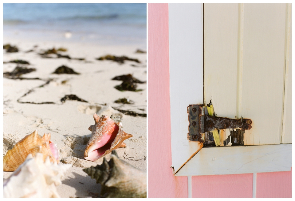 2011 Retrospective Travel Photos by Segerius Bruce Photography (79)