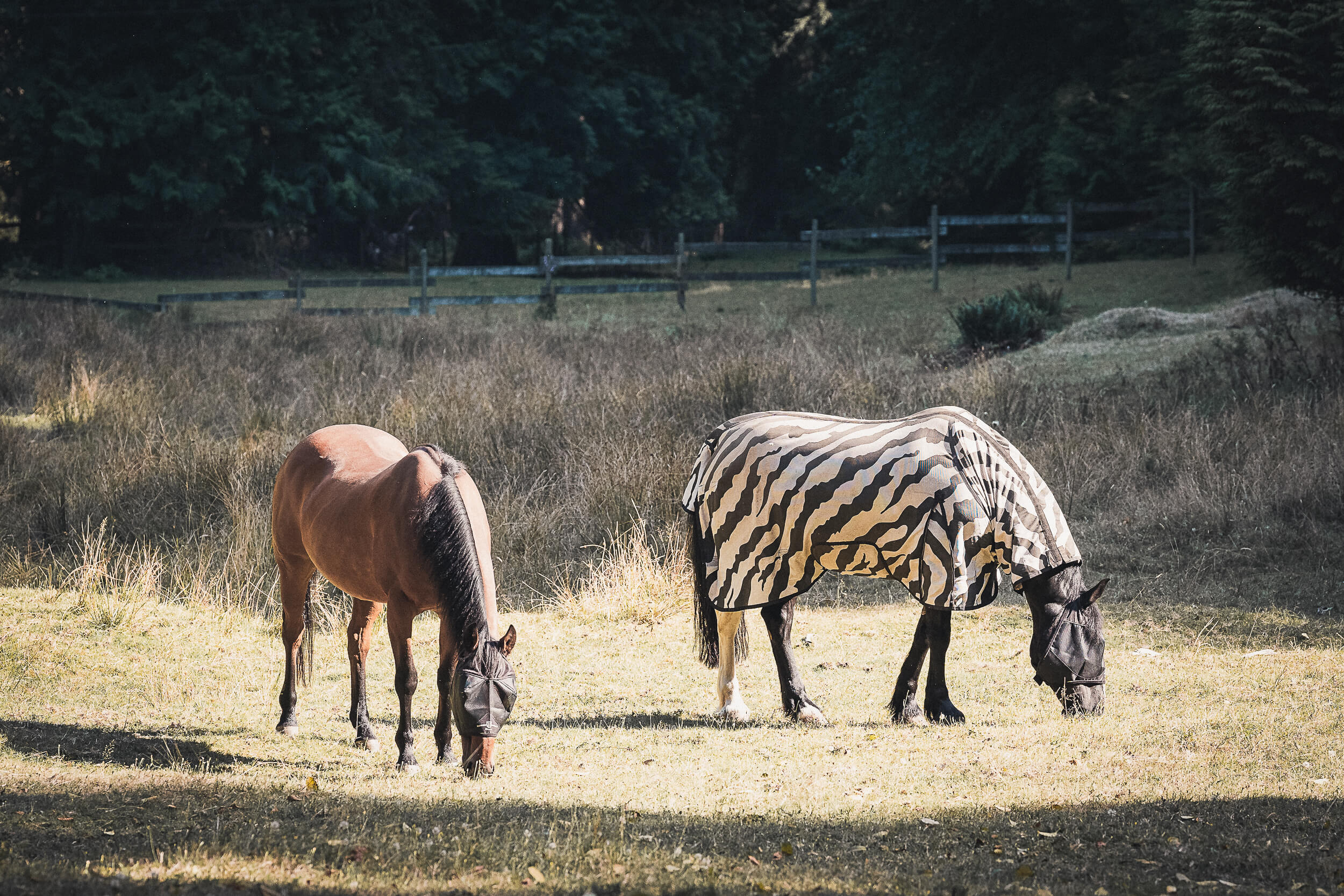 wedding photographer in Port Moody - 4