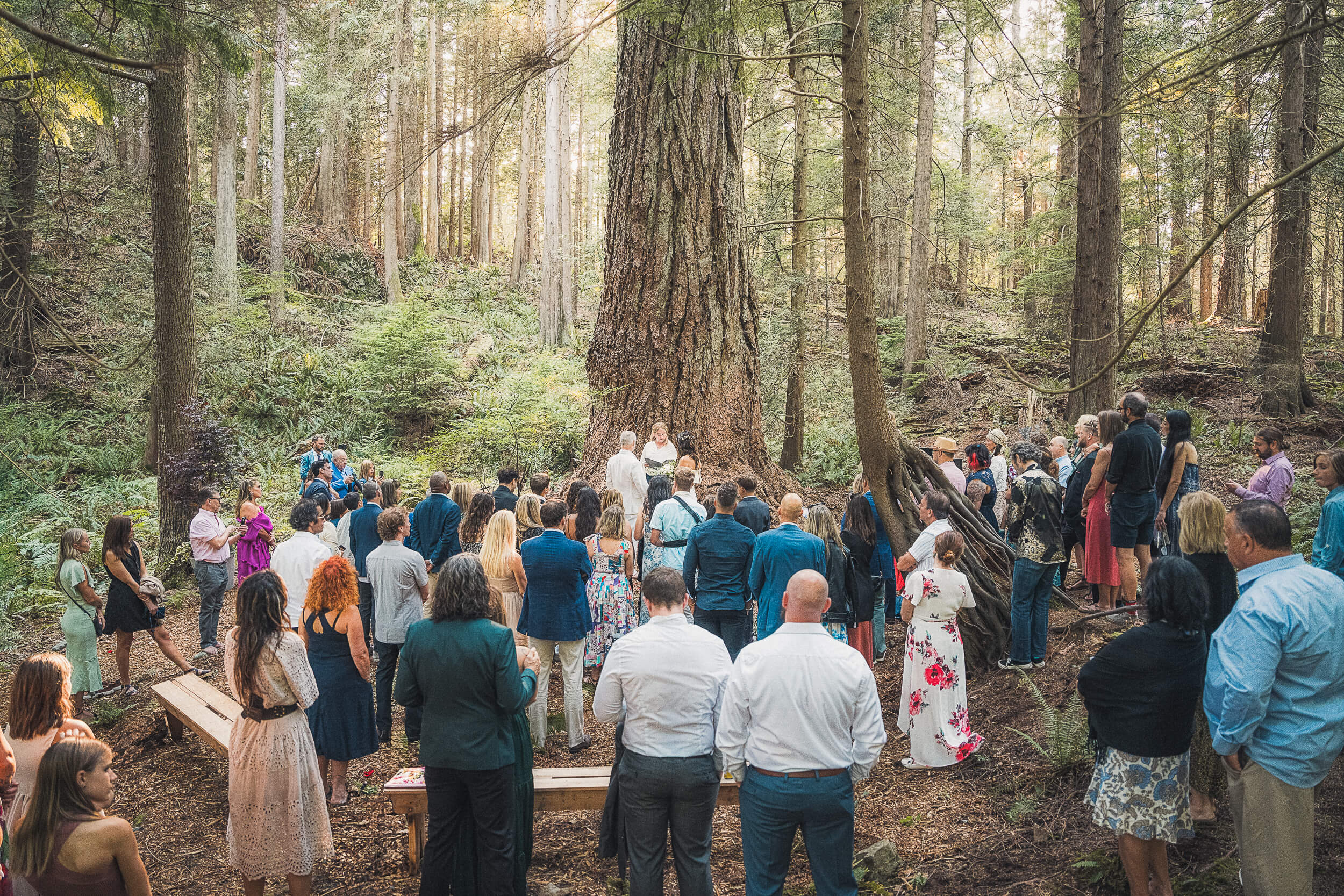 wedding photographer in Pemberton - 14