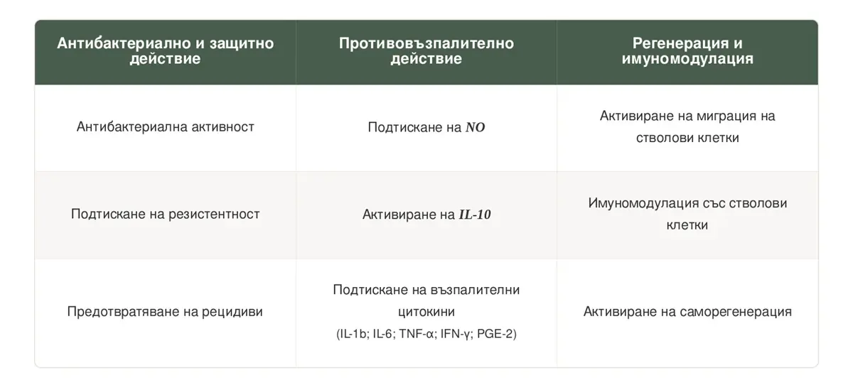 Основни ефекти на Тимохинон при заболявания на парадонта.