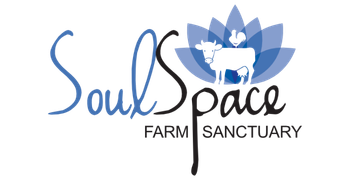 SoulSpace Farm Sanctuary