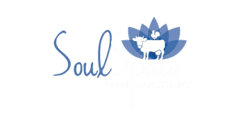 SoulSpace Farm Sanctuary