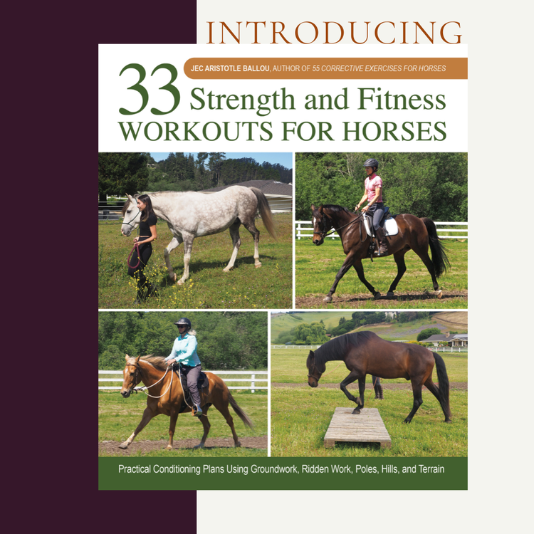 55 Corrective Exercises for Horses: Ultimate Guide to Improve Performance