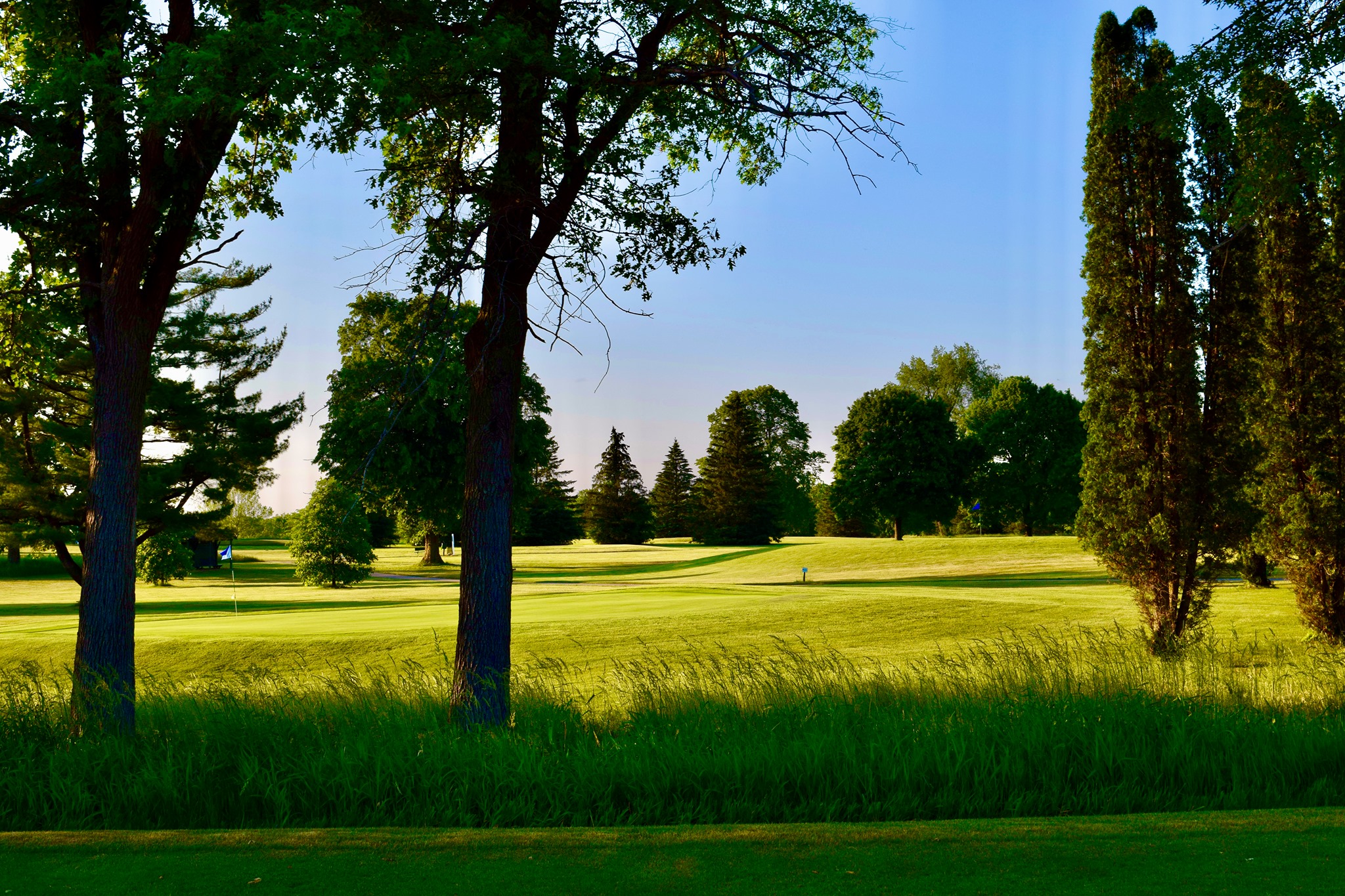 Delbrook Golf Club
