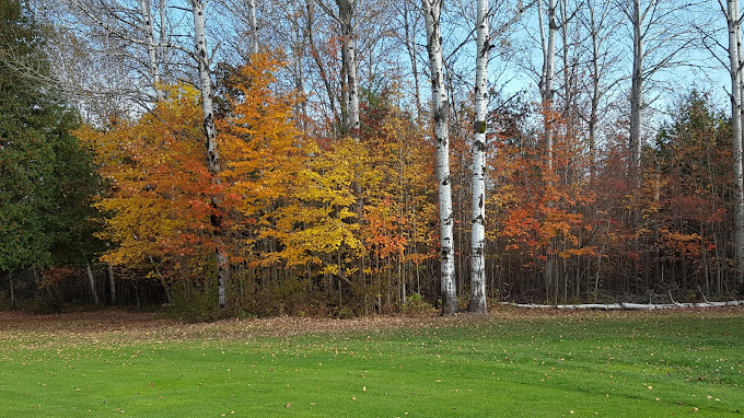 Lakeside Golf Course