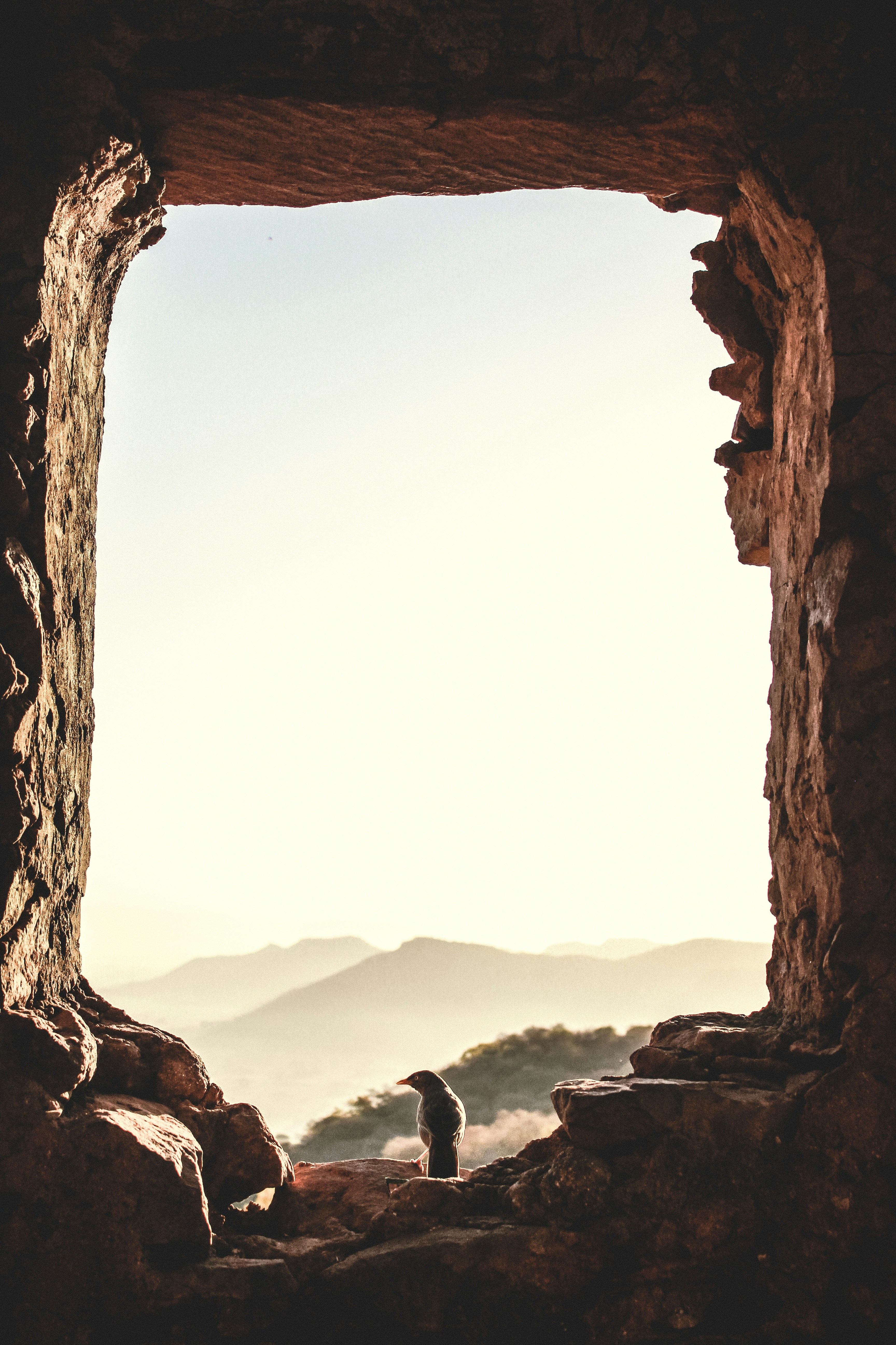 Free Morning Coffee Break Photo - Morning, Coffee, Book | Download at  StockCake