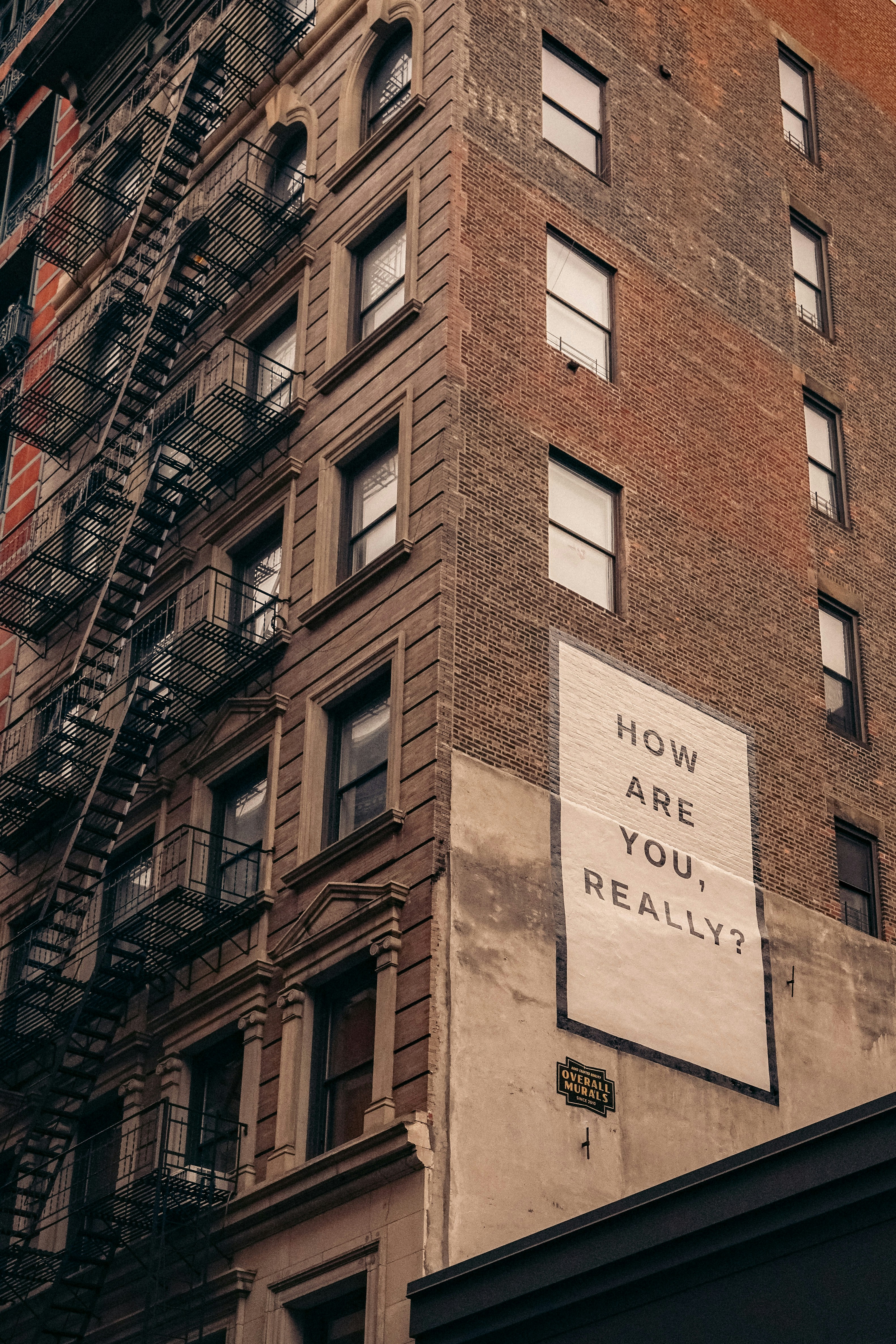 Beyond Survival Mode: How to Stop Emotional Numbing and Reclaim Joy in Your Home