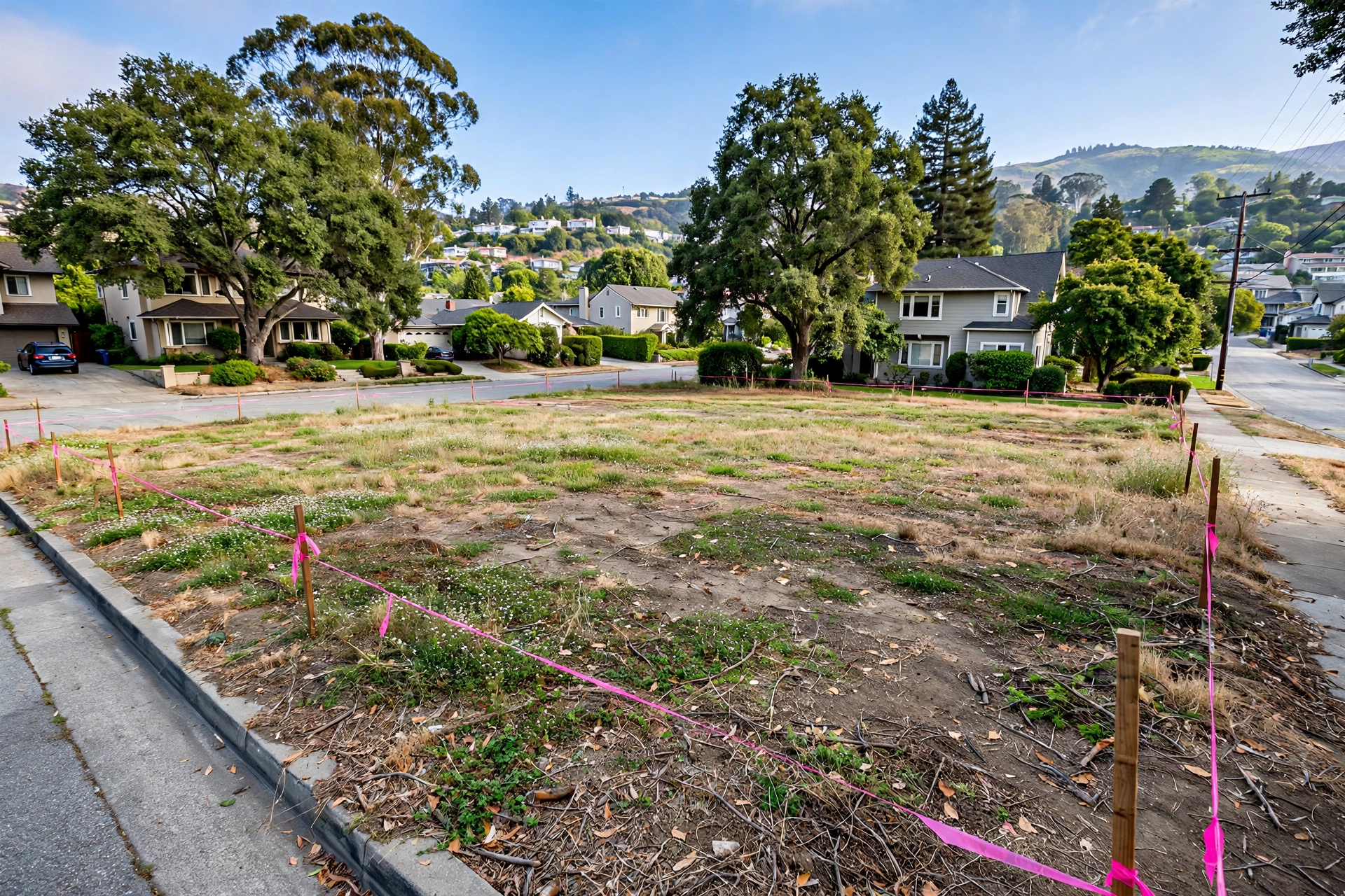 Vacant land in an established neighborhood