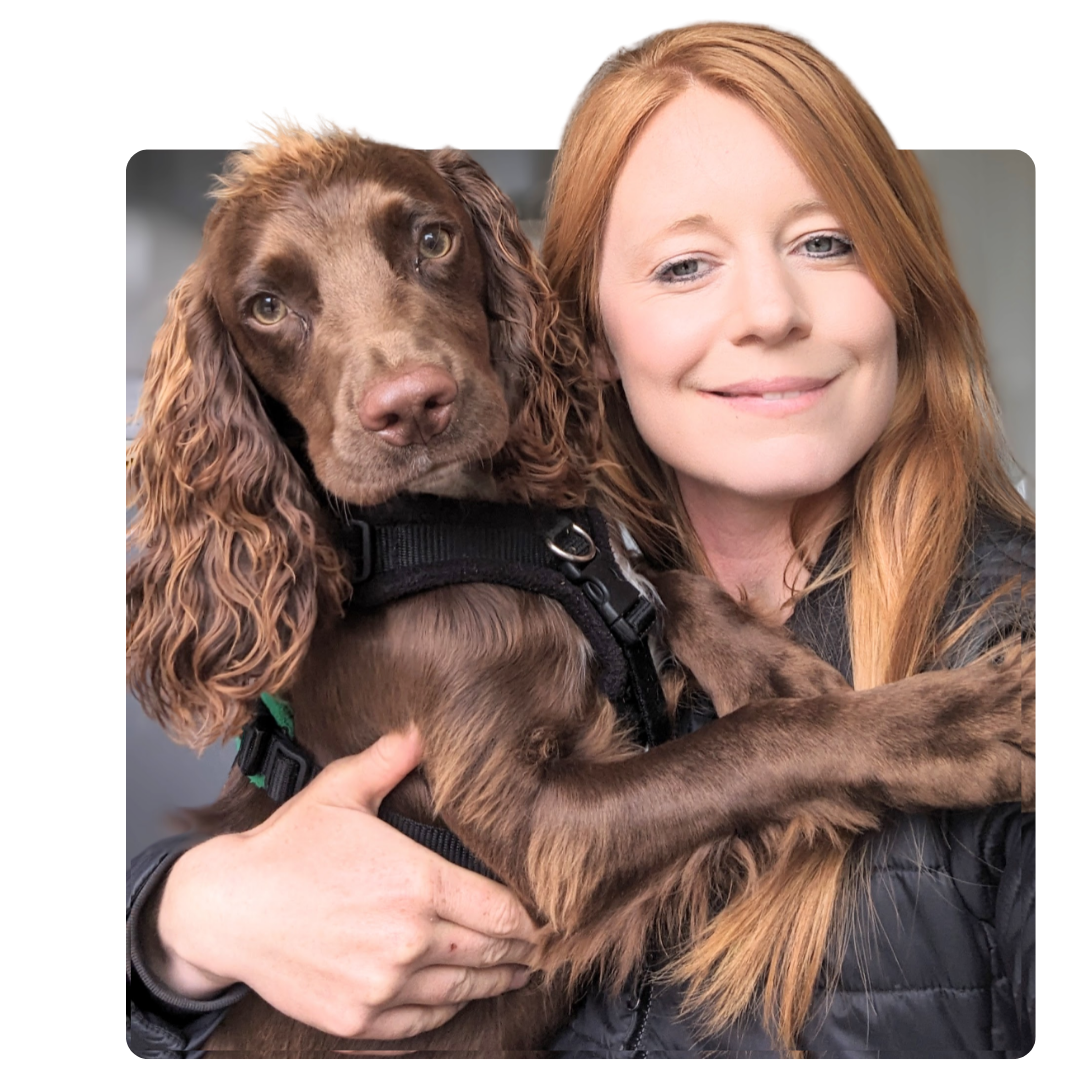 Teenage dog training in Solihull
