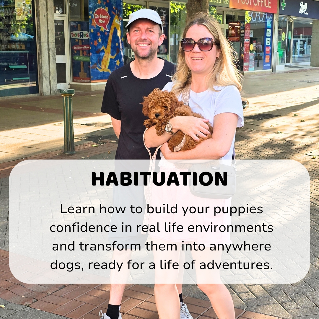 Habituation