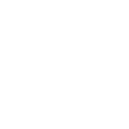 Alexis King logo