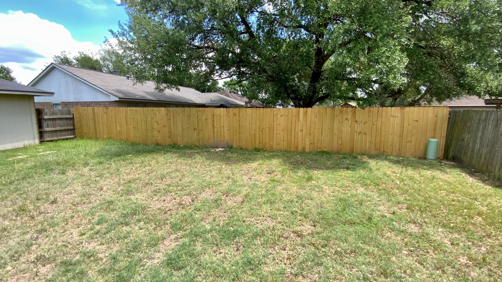 A grassy backyard with a wooden privacy fence and a large shade tree