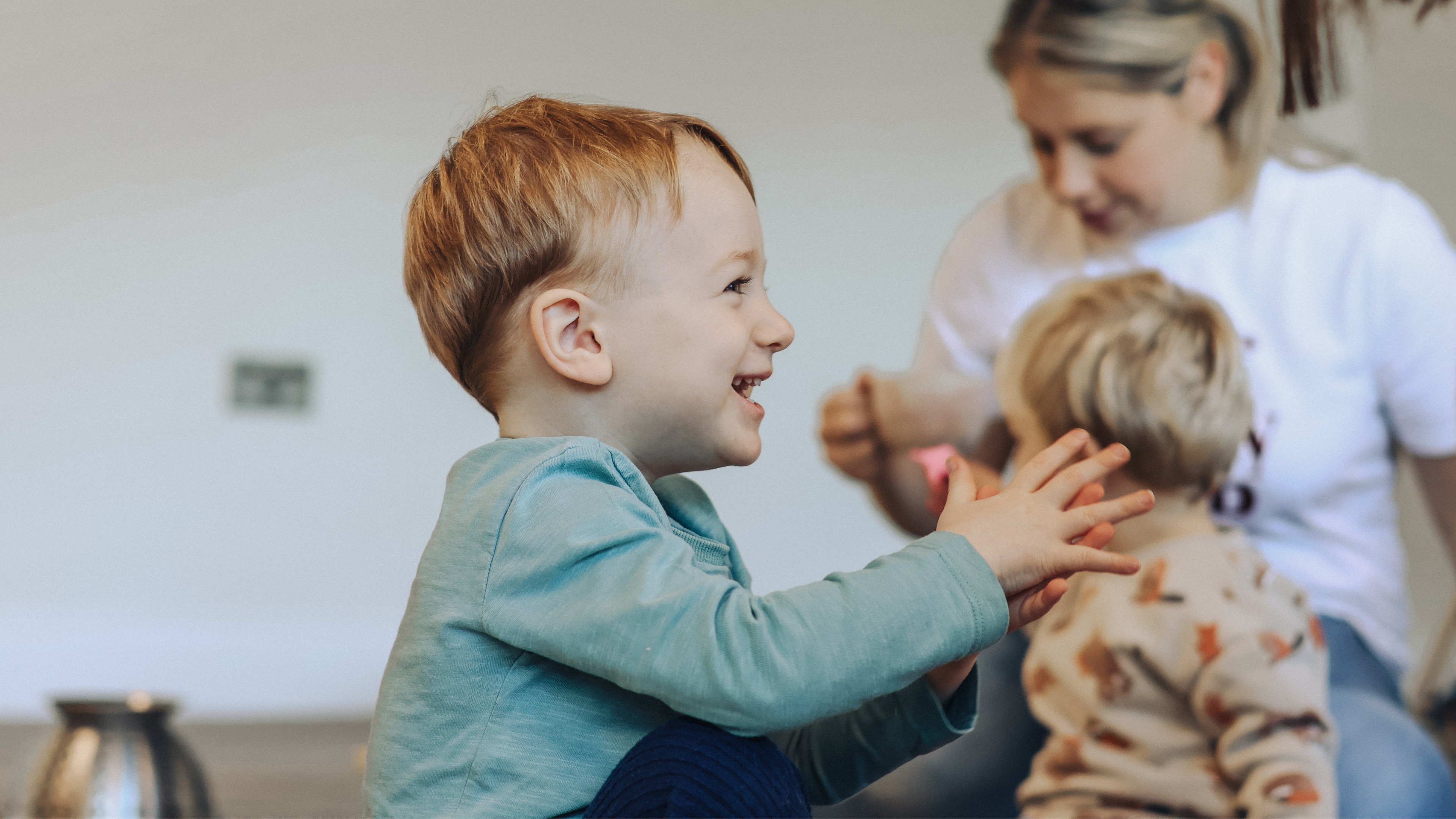 A cat looks directly at the viewer.