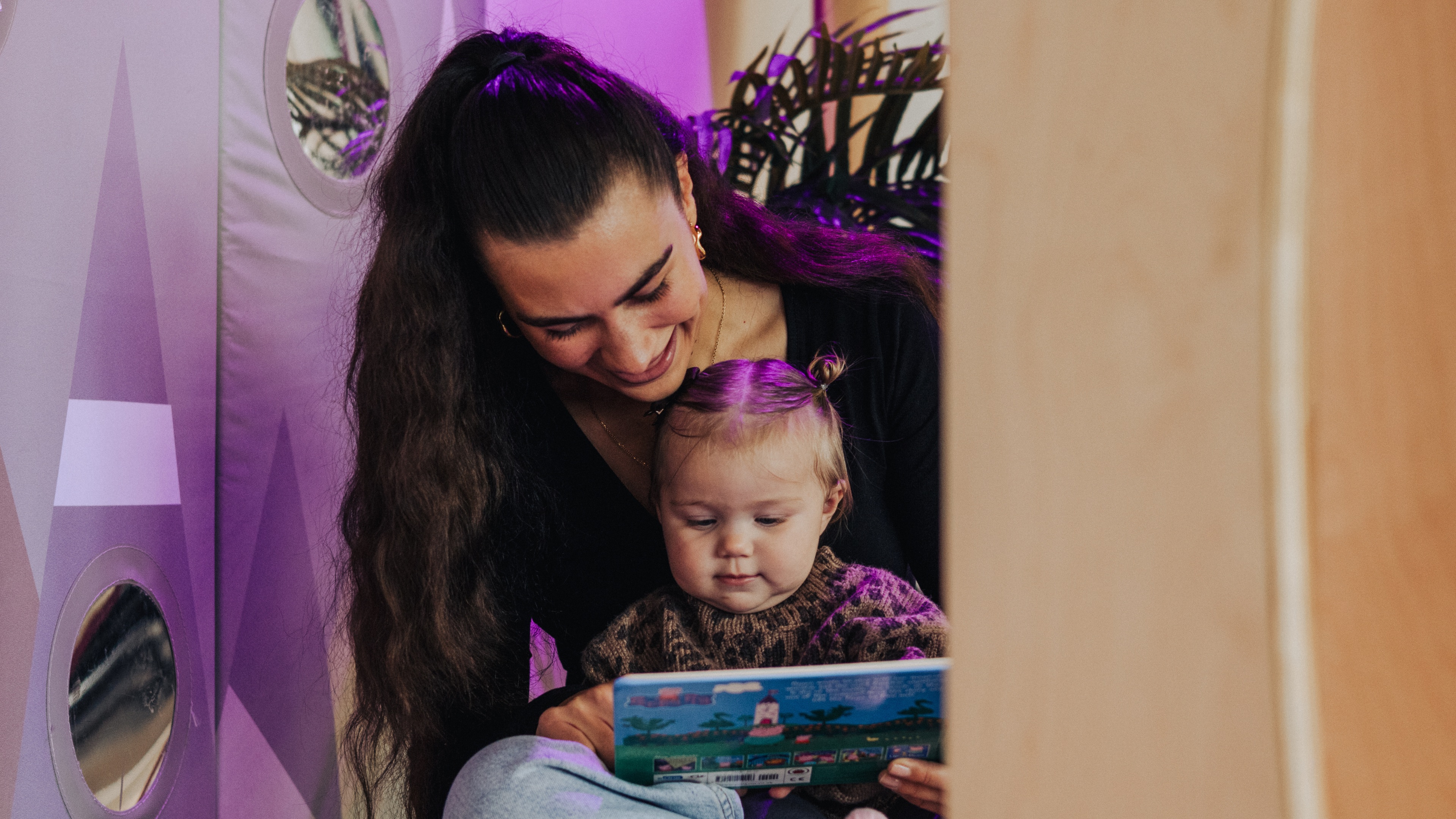 A cat looks directly at the viewer.