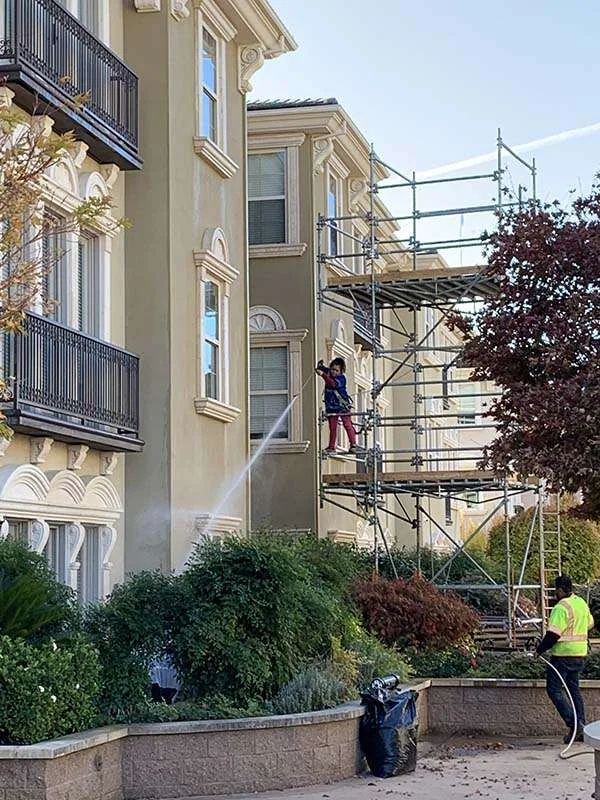 Solar Panel Cleaning
