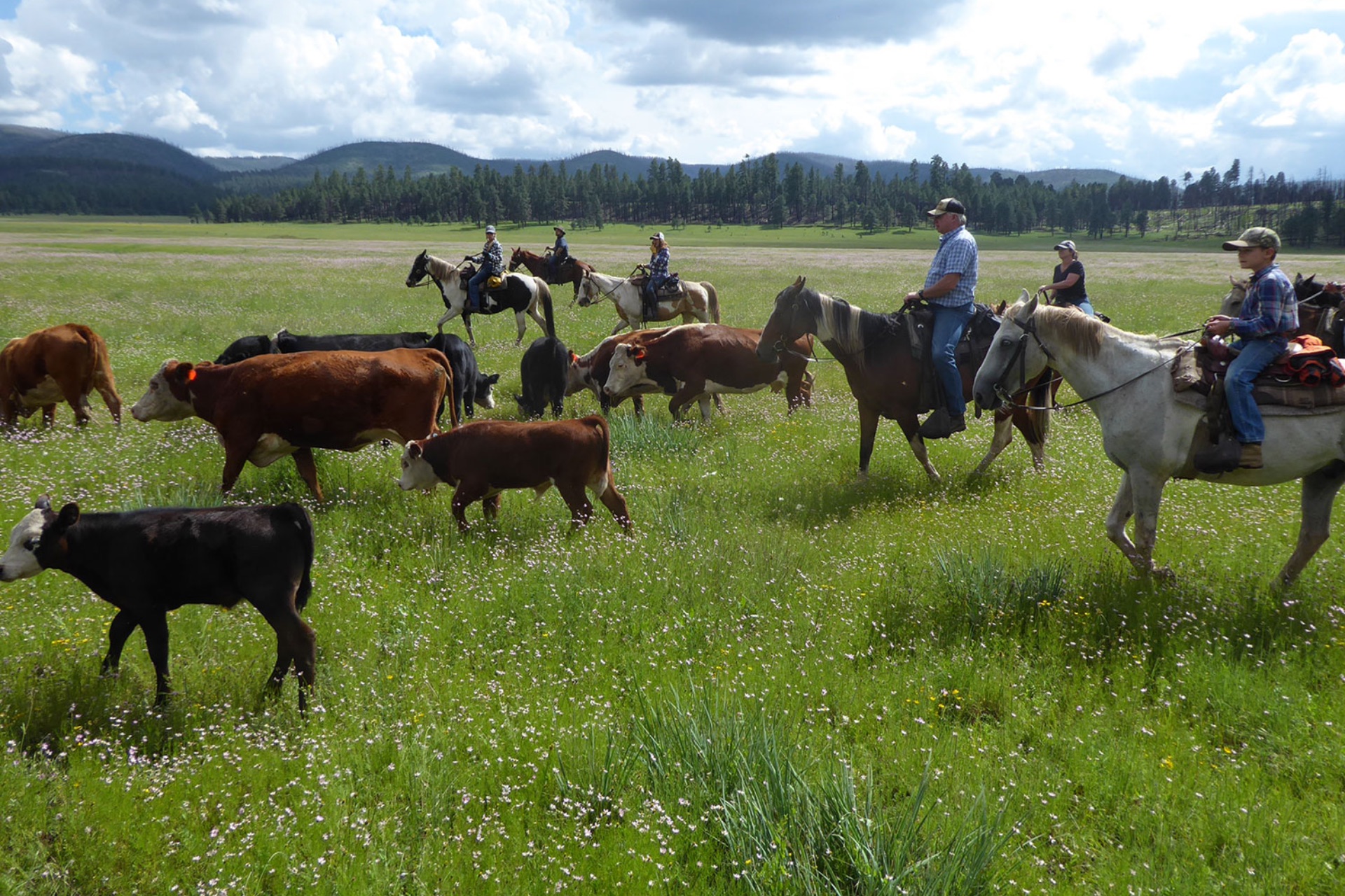 Ranchers in pasture