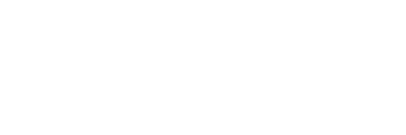 Fortress Insurance Group