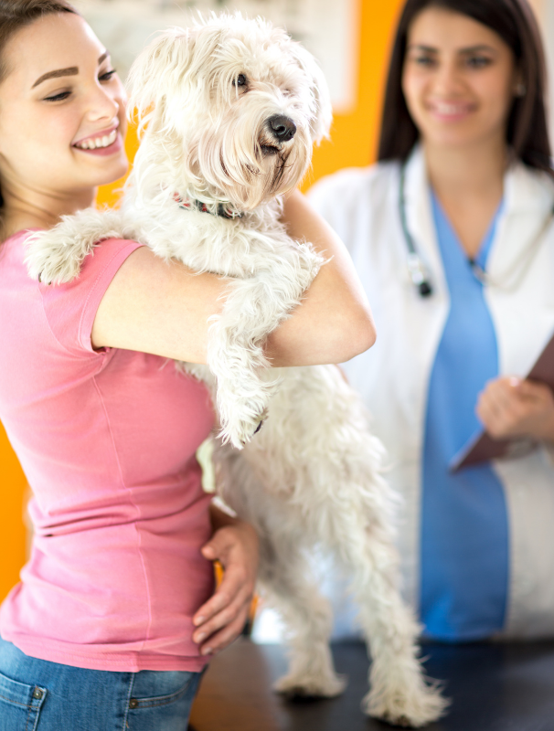 Woman holding a Maltese dog in a veterinary clinic with a smiling veterinarian in the background, emphasizing pet care and health monitoring.