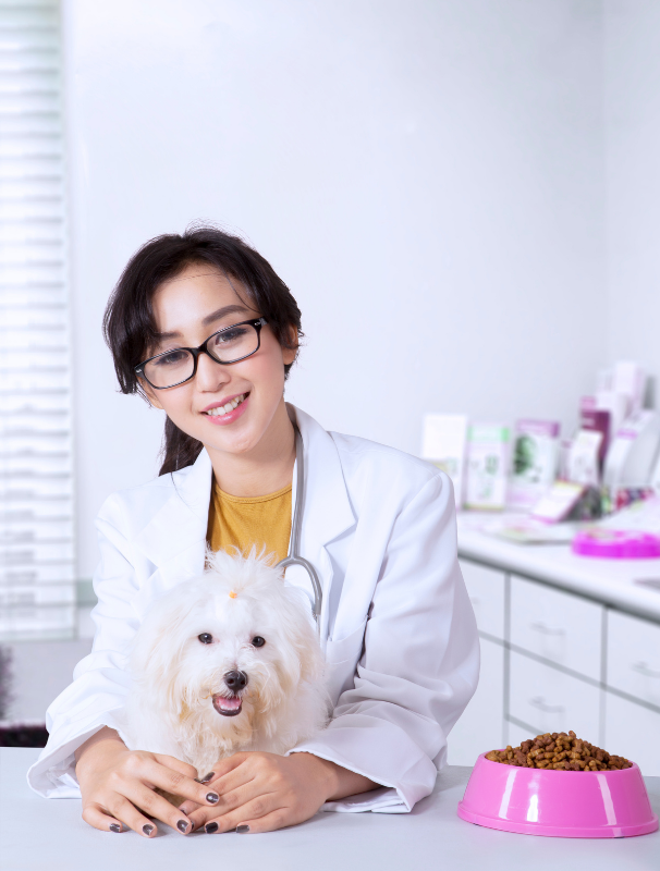Veterinarian smiling with a Maltese dog in a clinic, emphasizing pet care and health awareness.