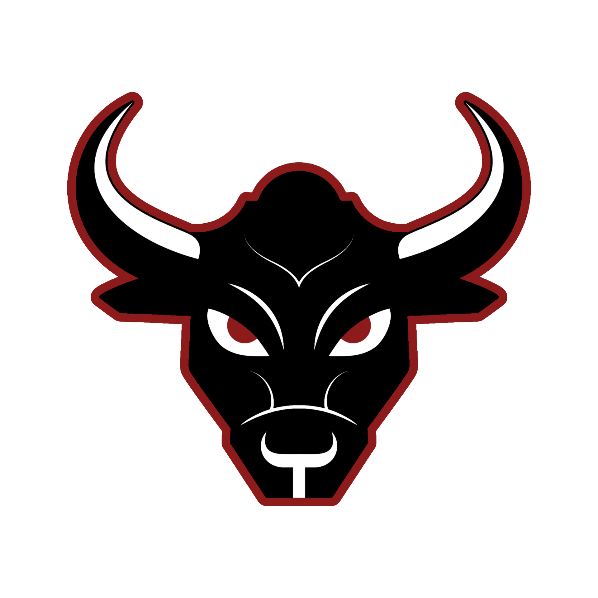 San Antonio Toros