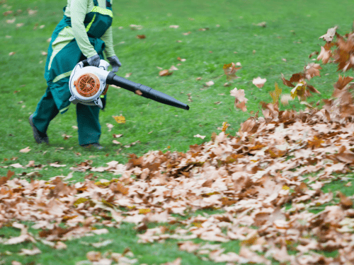 Yard cleanups in Norman