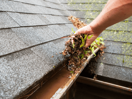Gutter cleanouts in Norman