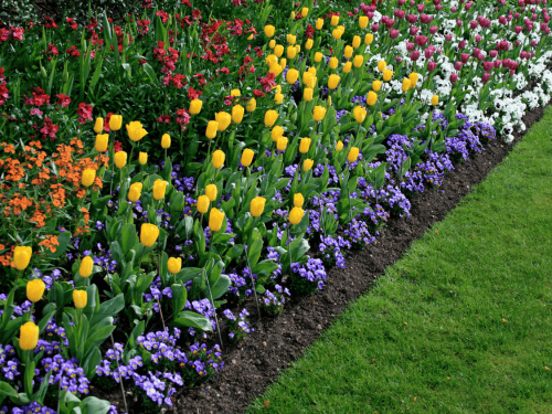 Flower-bed design in Norman