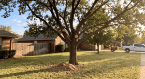 Roofing Norman
