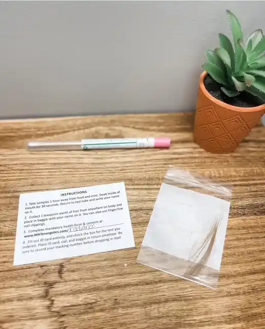 Bio-Energetic Wellness Testing