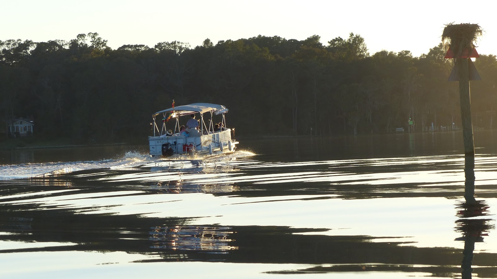 Cruise The Neuse Boat Tours photo