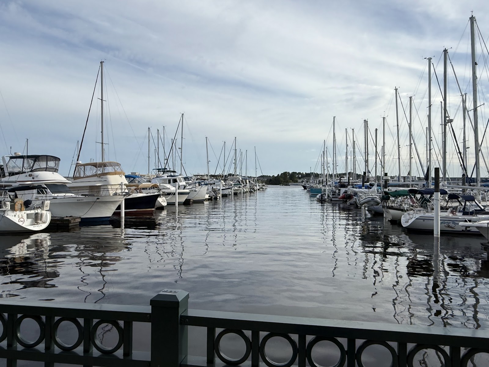Cruise The Neuse Boat Tours photo