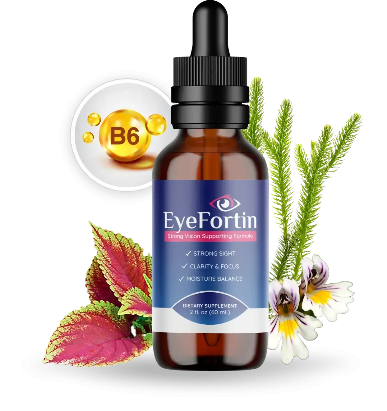Eyefortin® | Official Website | Dropper for Eyesight
