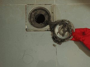Sewer Camera Inspection in Buckeye