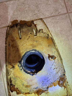 {{ custom_values.service_3 }} in {{custom_values.area_1})