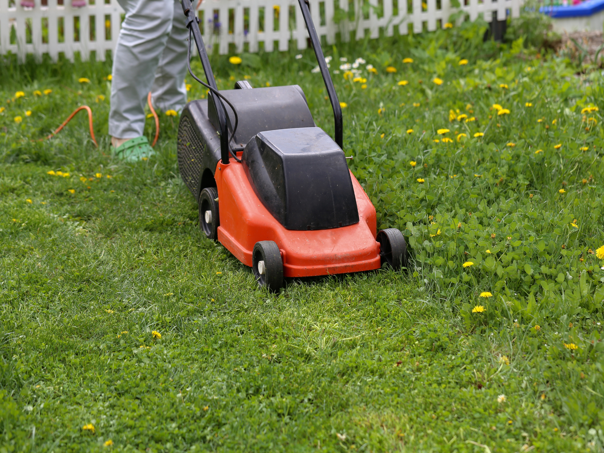 Lawn Maintenance