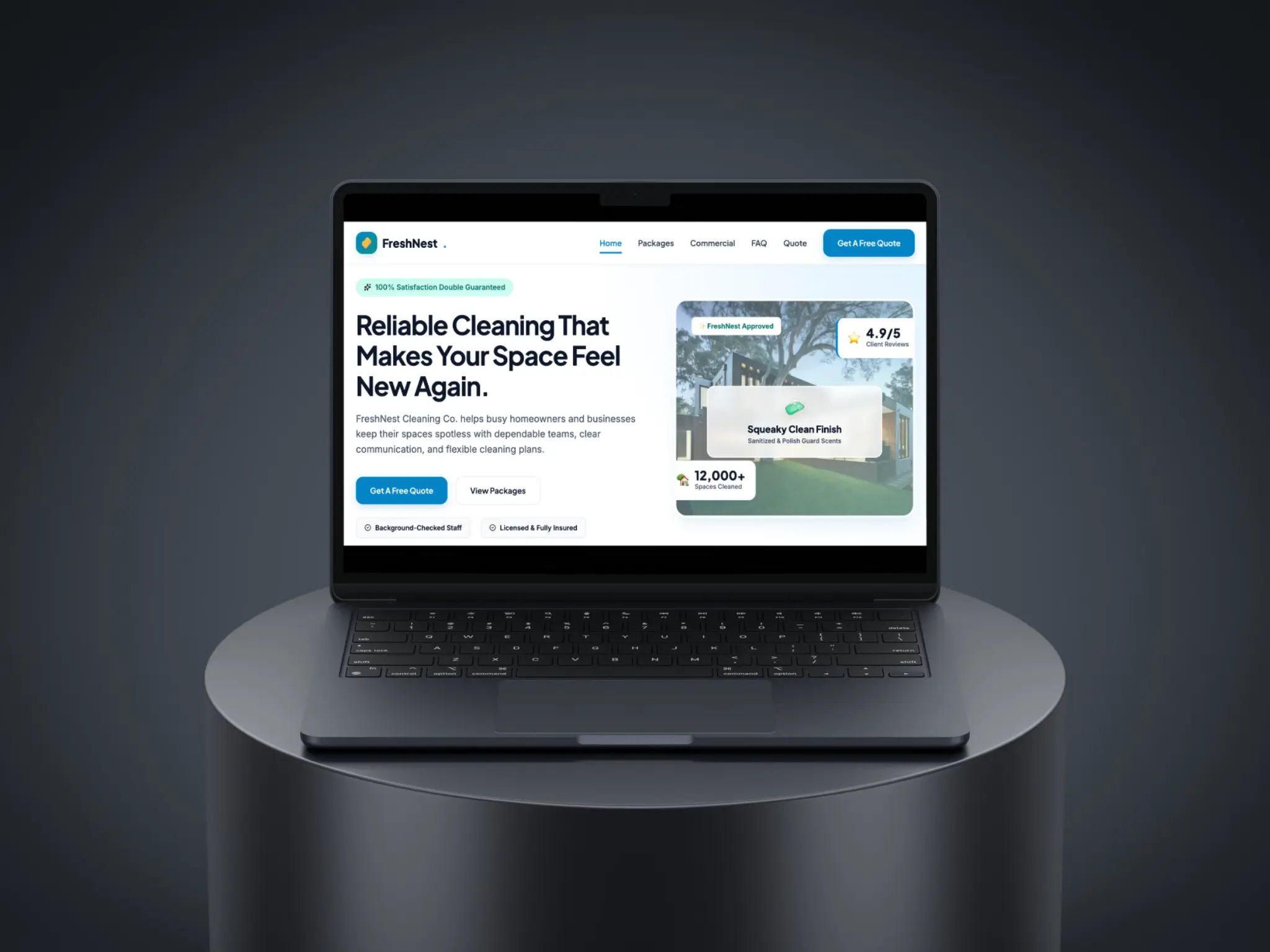 Cleaning website example