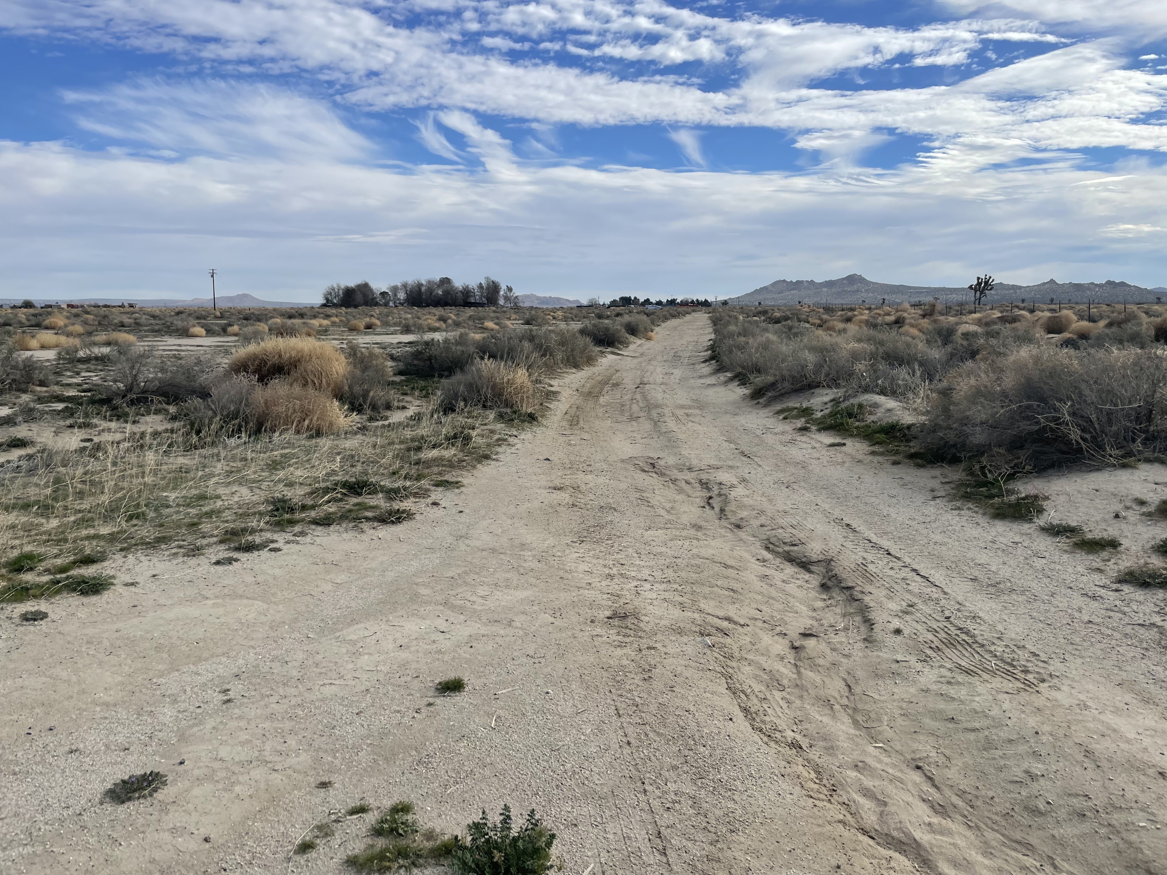 Open terrain with mountain views