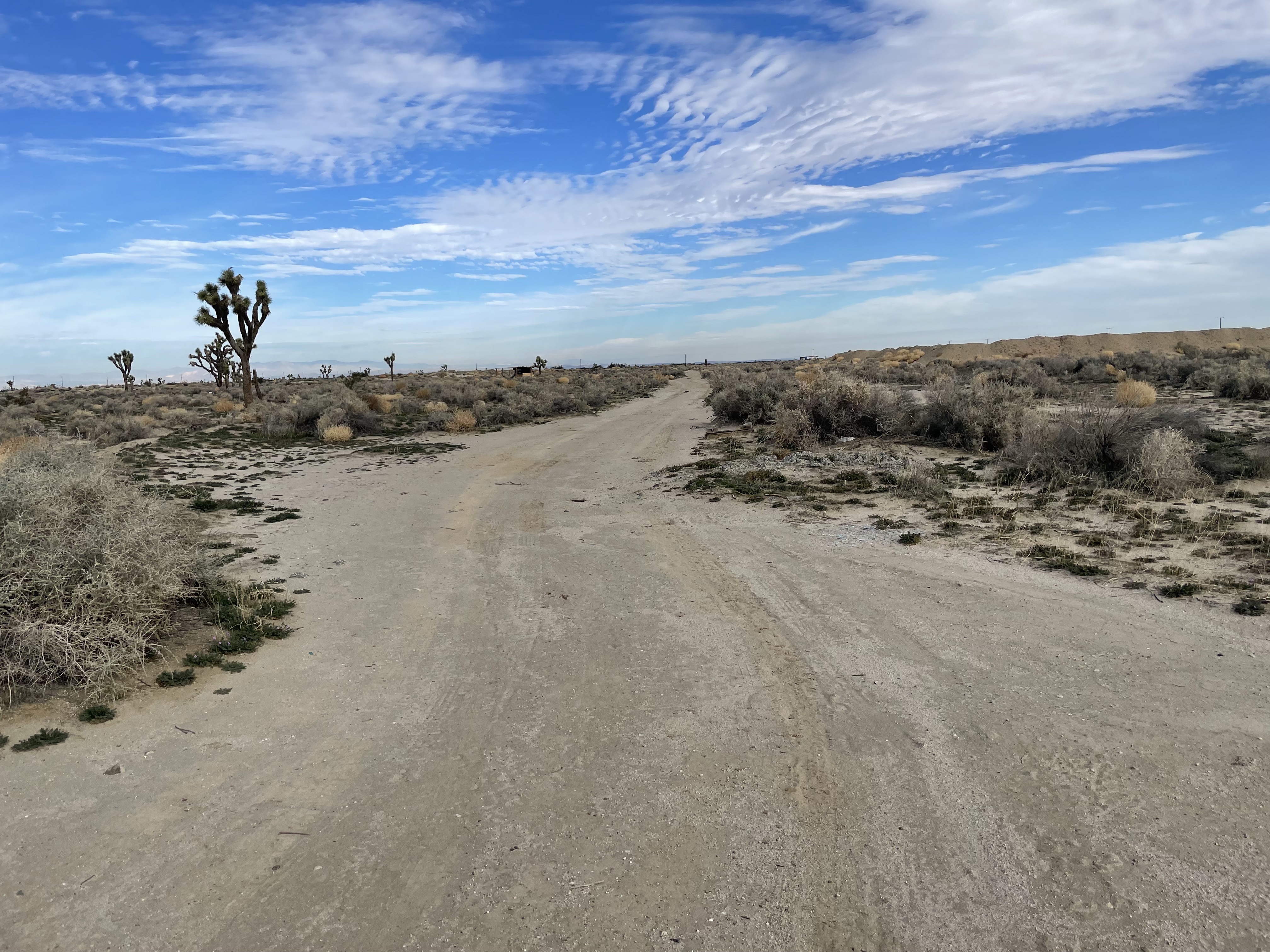2.6 Acre Desert Lot - Palmdale, California
