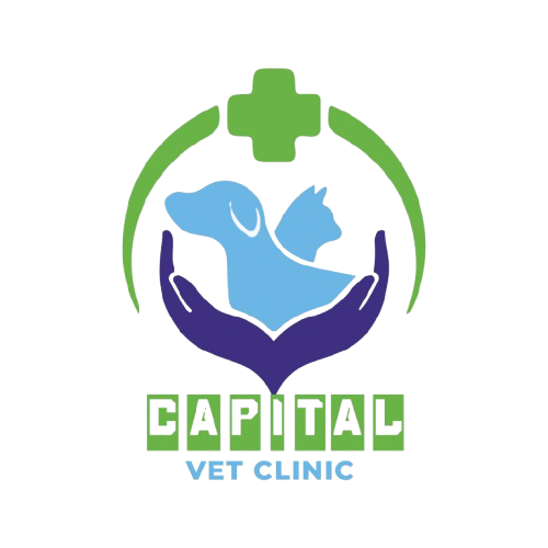 Capital Vet Clinic Logo