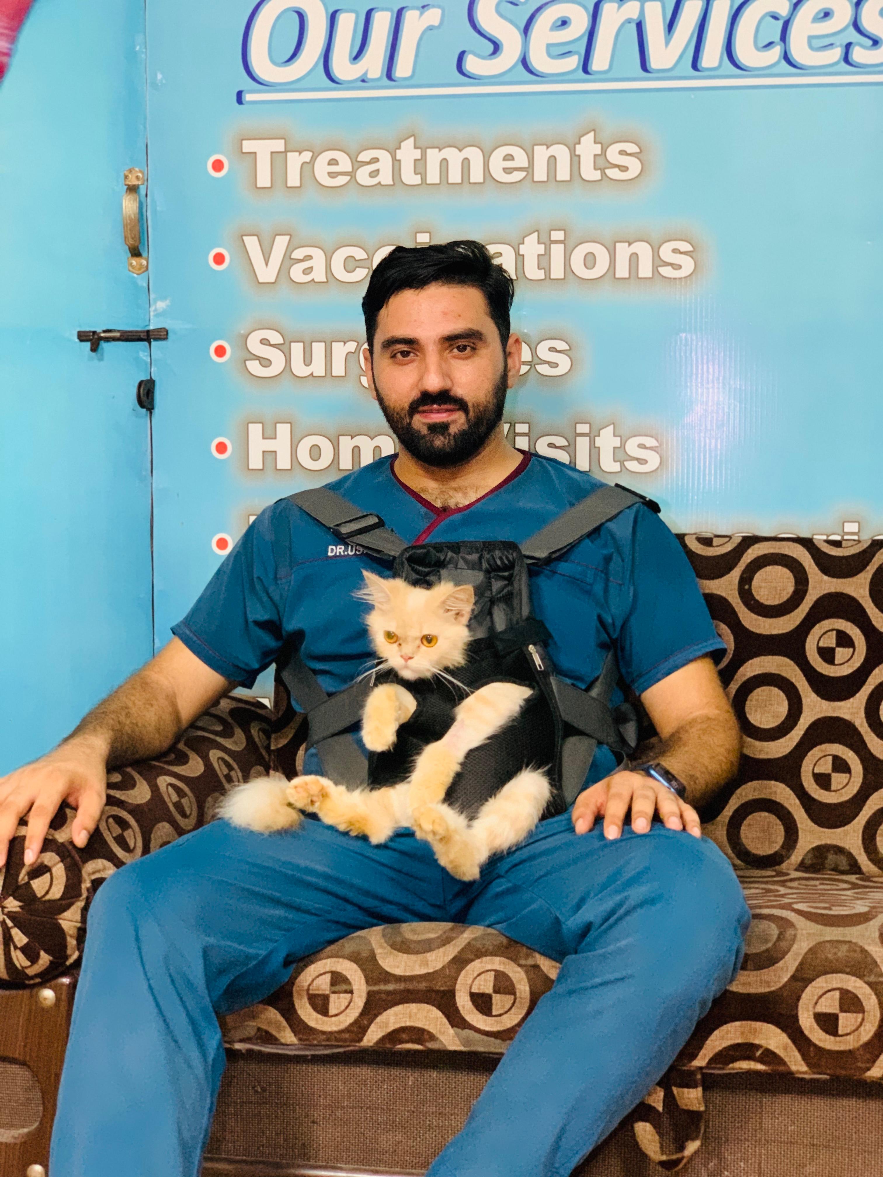 Professional pet grooming service