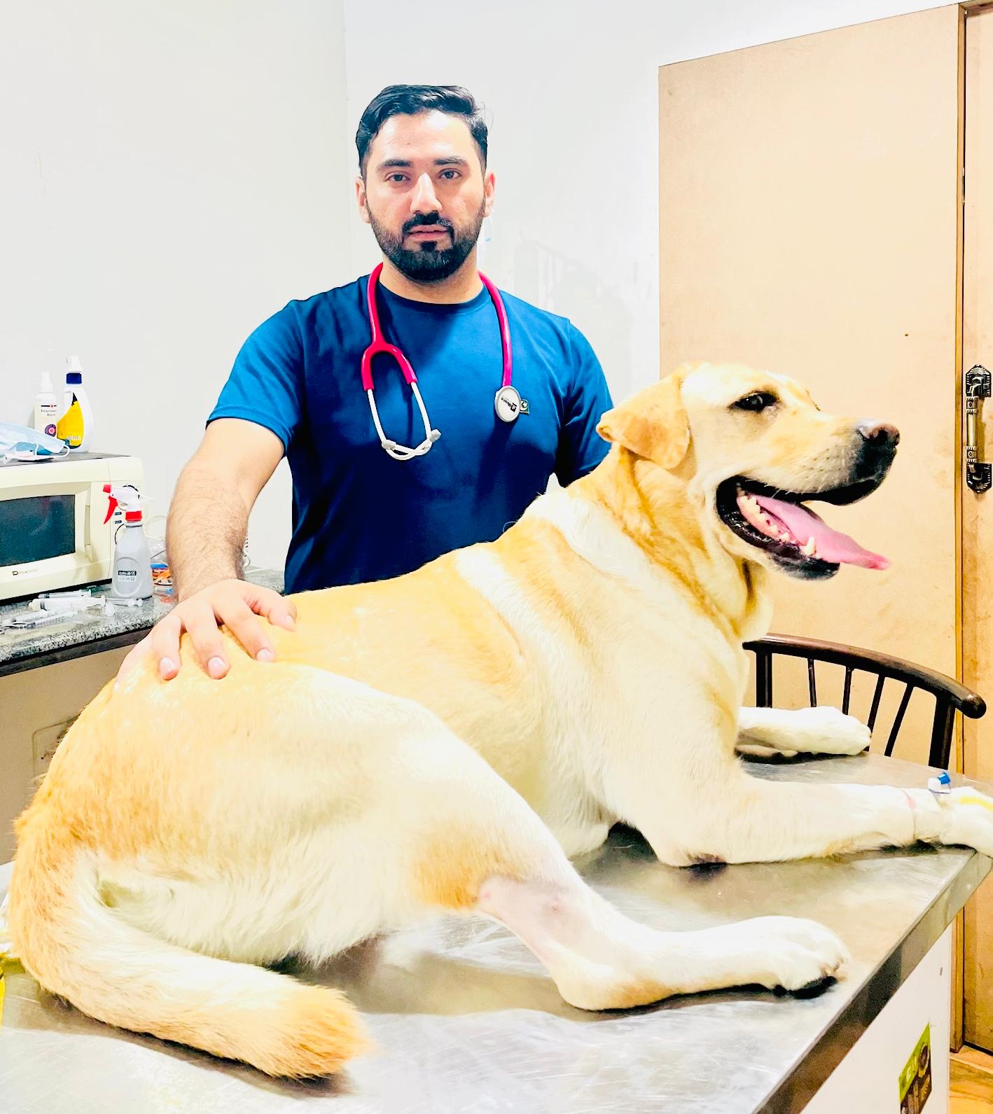 Pet vaccination and deworming Rawalpindi