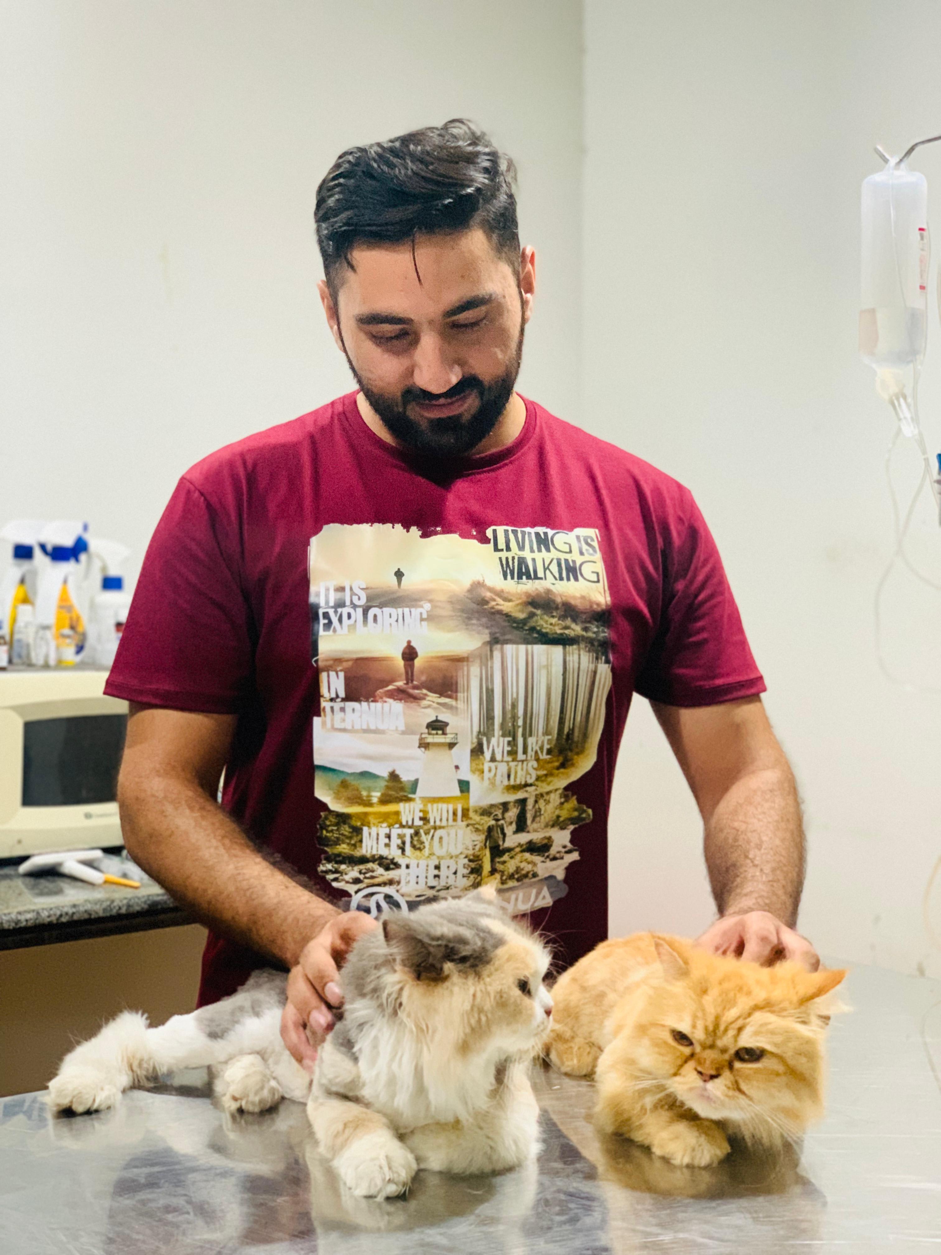Veterinary surgery suite Rawalpindi