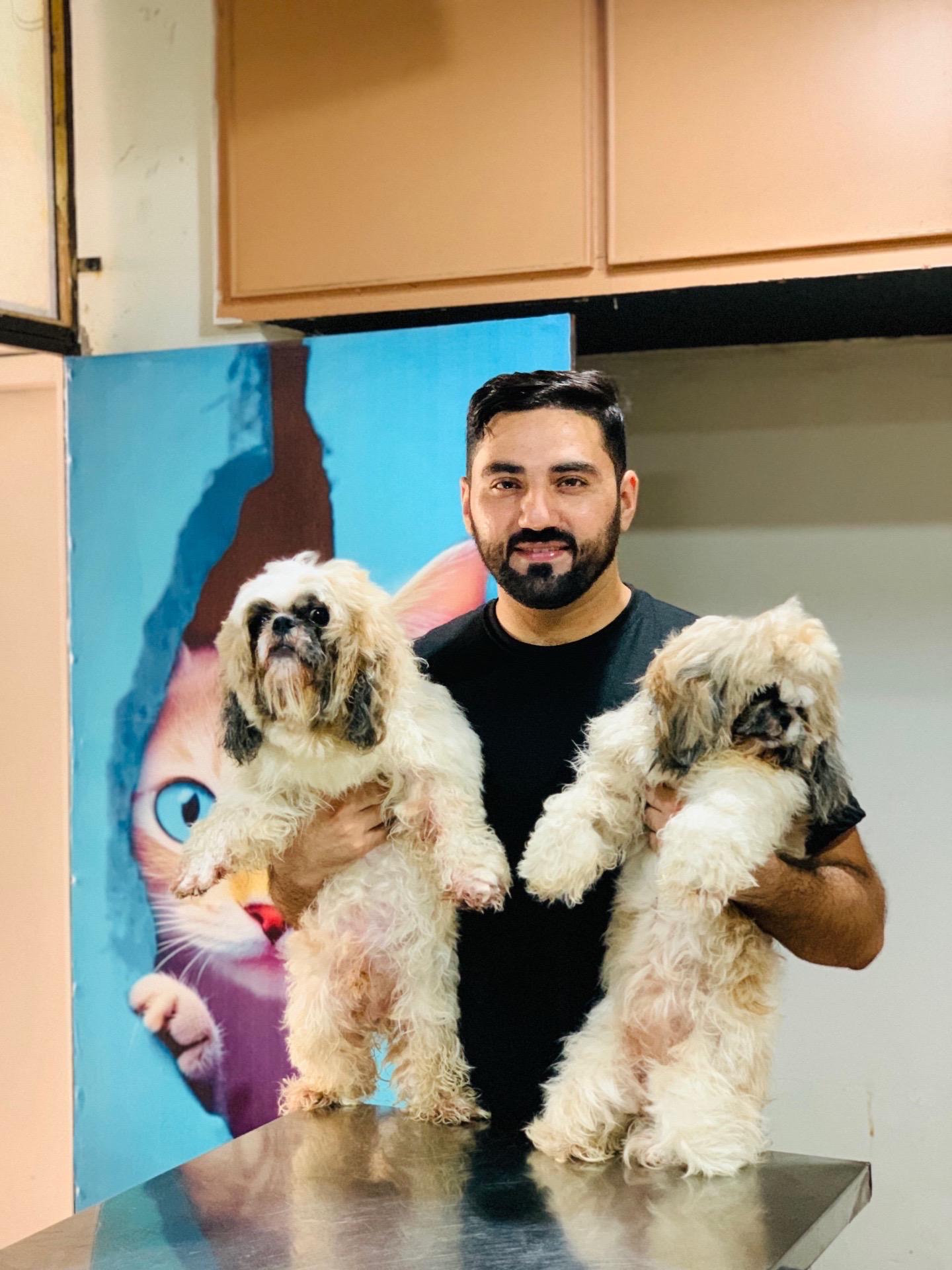 Experienced Veterinary Team