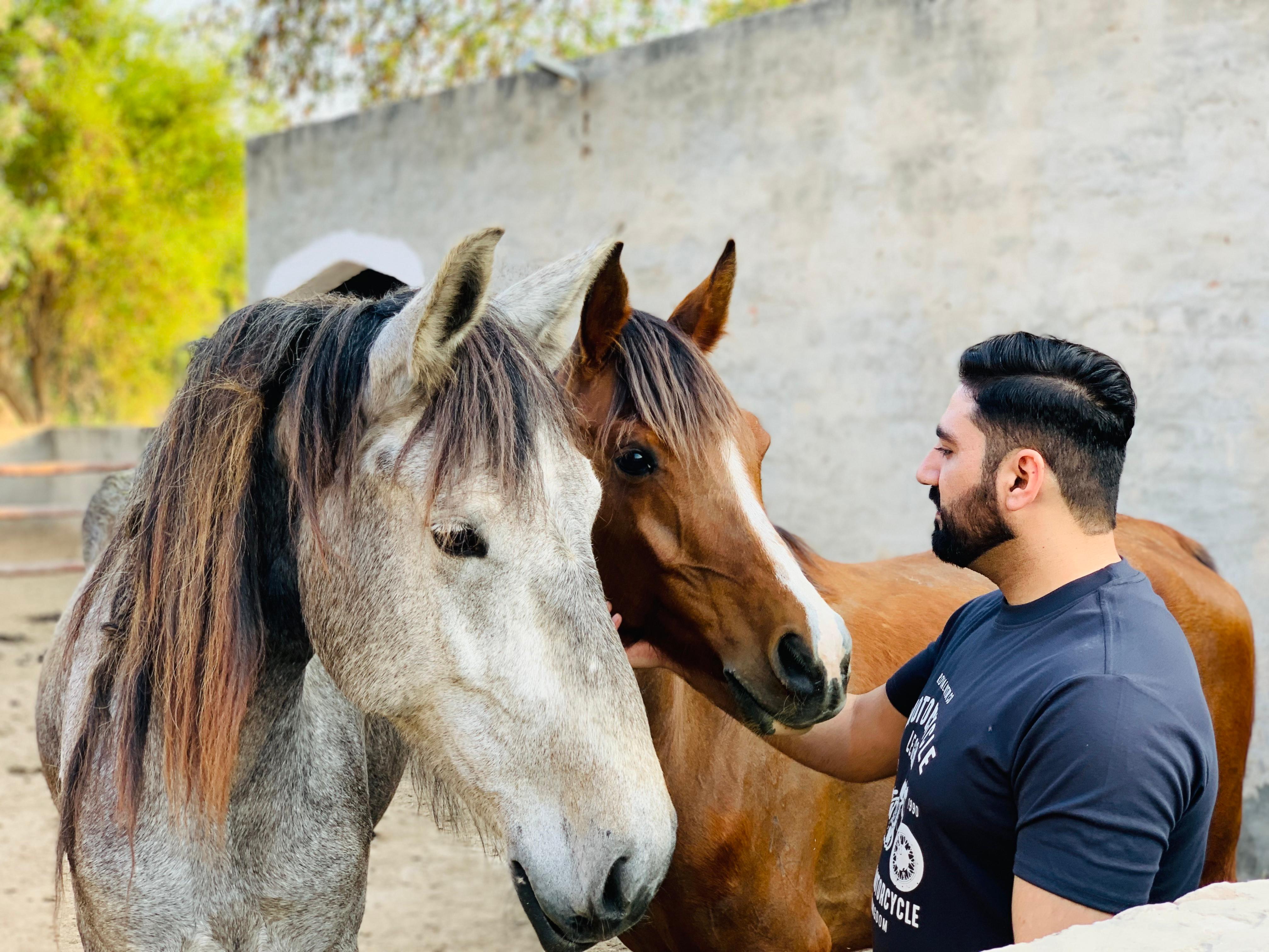 Large Animals